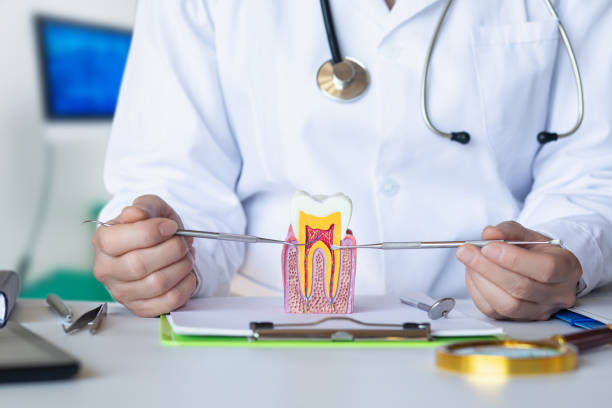 Best Emergency Tooth Extraction  in Blanchester, OH
